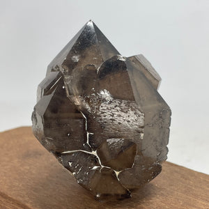 Australian Smokey Quartz crystal cluster