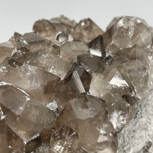 Australian Smokey Quartz crystal cluster