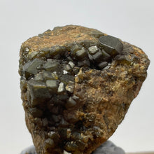 Australian Andradite Garnet crystal on Dunite