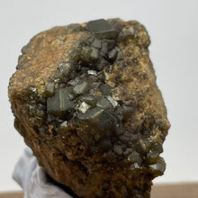 Australian Andradite Garnet crystal on Dunite