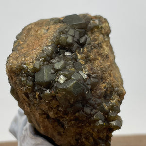 Australian Andradite Garnet crystal on Dunite