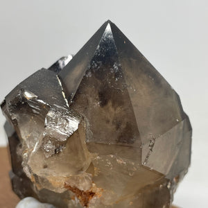 Australian Smokey Quartz crystal cluster