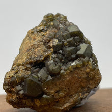 Australian Andradite Garnet crystal on Dunite