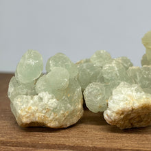 Prehnite Stalactite - Intuitively chosen