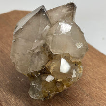 Australian Smokey Quartz crystal cluster