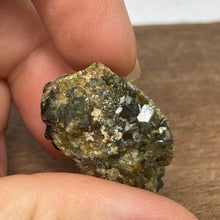 Australian Andradite Garnet crystal on Dunite