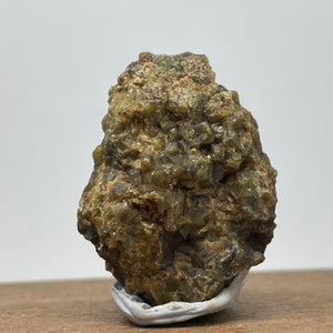 Australian Andradite Garnet crystal on Dunite