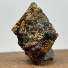 Australian Andradite Garnet crystal on Dunite