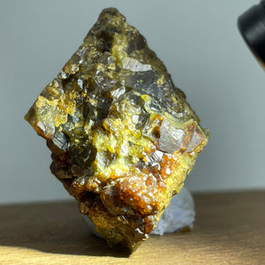 Australian Andradite Garnet crystal on Dunite