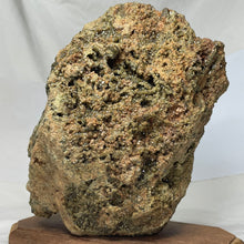 Australian XL Andradite Garnet crystal on Dunite 4kg+