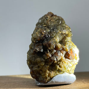 Australian Andradite Garnet crystal on Dunite