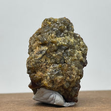 Australian Andradite Garnet crystal on Dunite