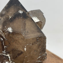 Australian Smokey Quartz crystal cluster