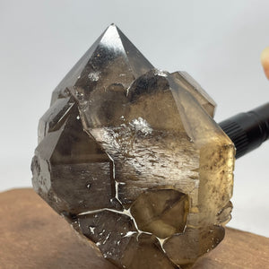 Australian Smokey Quartz crystal cluster