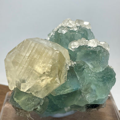 High Quality Yellow Calcite on Blue-Green Fluorite collectors specimen