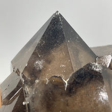 Australian Smokey Quartz crystal cluster