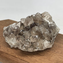 Australian Smokey Quartz crystal cluster