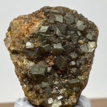 Australian Andradite Garnet crystal on Dunite