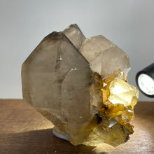 Australian Smokey Quartz crystal cluster