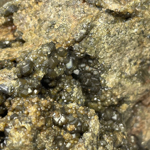 Australian XL Andradite Garnet crystal on Dunite 3kg+