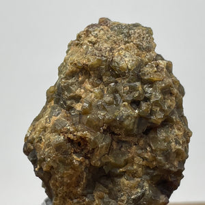 Australian Andradite Garnet crystal on Dunite