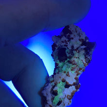 Spessartine Garnet with Hyalite Opal (UV Reactive)