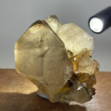 Australian Smokey Quartz crystal cluster