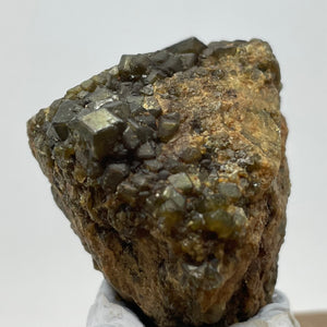 Australian Andradite Garnet crystal on Dunite