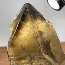 Australian Smokey Quartz crystal