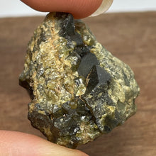 Australian Andradite Garnet crystal on Dunite