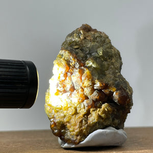 Australian Andradite Garnet crystal on Dunite