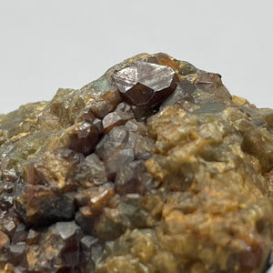 Australian Andradite Garnet crystal on Dunite