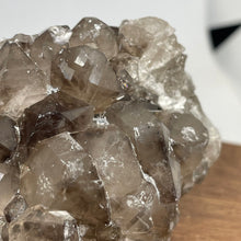 Australian Smokey Quartz crystal cluster