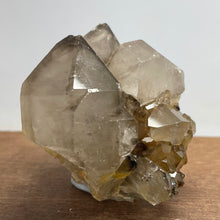 Australian Smokey Quartz crystal cluster