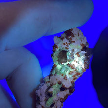 Spessartine Garnet with Hyalite Opal (UV Reactive)