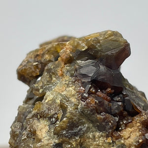 Australian Andradite Garnet crystal on Dunite