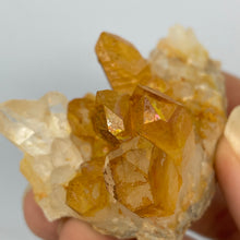 Golden Healer Quartz w/ natural iridescence